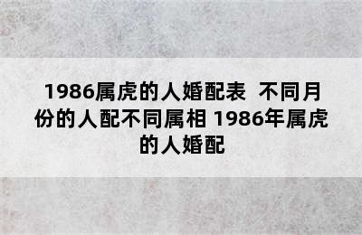 1986属虎的人婚配表  不同月份的人配不同属相 1986年属虎的人婚配